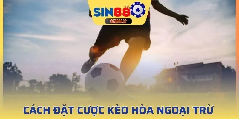 Cách đặt cược khá giống với kèo châu Âu (1x2)