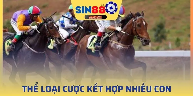 Đặt kèo nhiều con