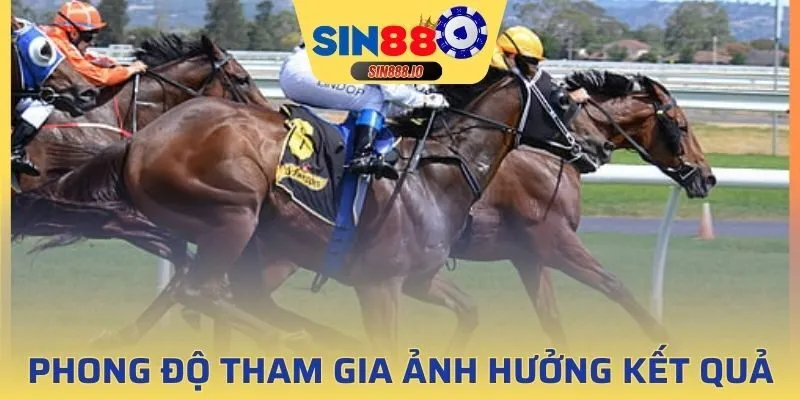 Lưu ý tìm hiểu về phong độ ngựa